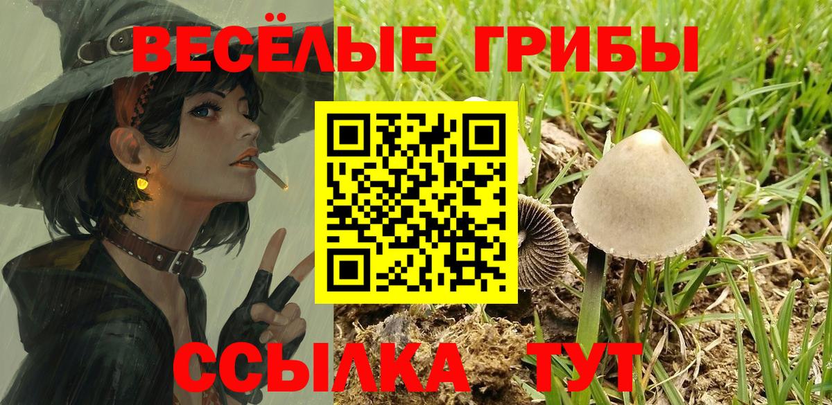 Псилоцибиновые грибы мухоморы Костомукша