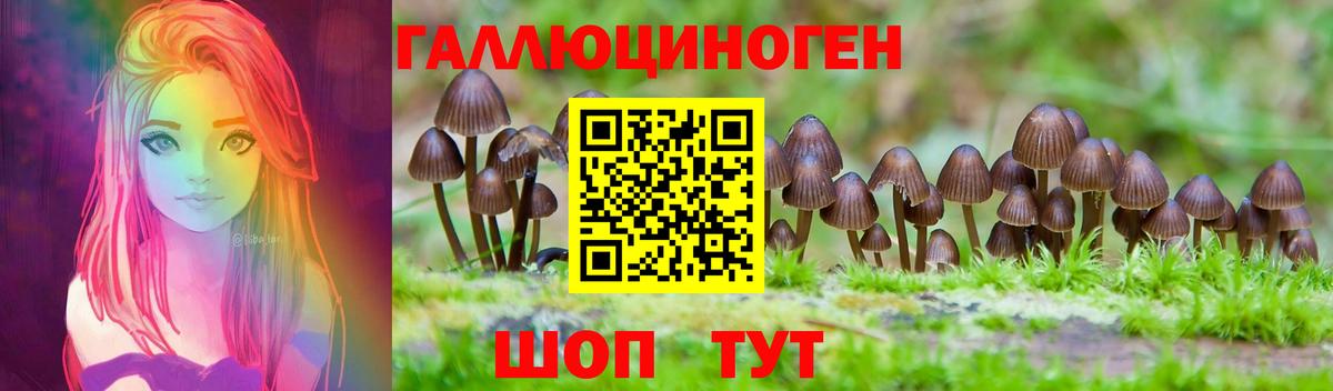 Галлюциногенные грибы GOLDEN TEACHER  Вход с VPN  Псилоцибиновые грибы Cubensis  Костомукша 